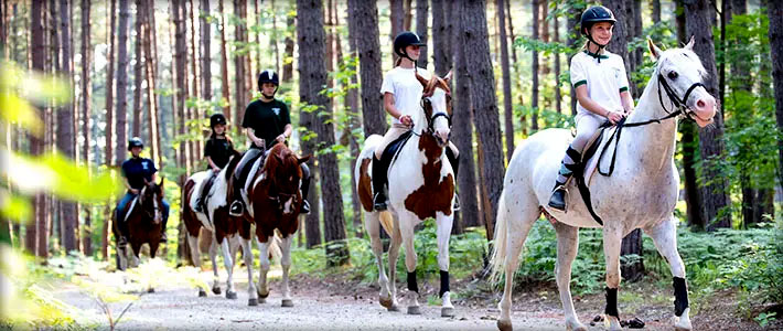 About Camp Robin Hood