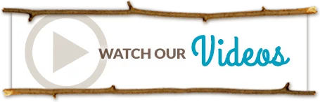 Watch Videos